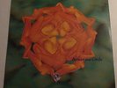 Black Sabbath  live at sun pluza hall 2LP  Amorous circle bootleg