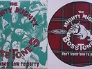 Mighty Mighty Bosstones - Don't Know... & Ska Core... LP+10