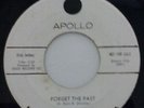 the fabulous playboys - forget the past / nervous  PROMO  doowop 45 rpm