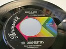 Cooperettes Brunswick 55329 Shing a ling