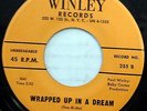 CLOVERS 45 Wrapped Up In A Dream / Let Me Hold You VG++ Doo Wop WINLEY 1961 w993