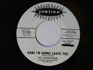 The Association 45 BABE, I'M GONNA LEAVE YOU / BABY CAN'T YOU HEAR VG+ their 1st