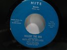 RARE Surf Patti and Nite Lites Walkin' the Dog NITE 7139 7 in 45 Midwest Iowa