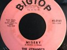 THE DYNAMICS   Misery / I'm The Man 45   Big Top mod R&B northern soul 45