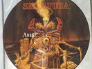 SEPULTURA - ARISE - PICTURE DISC - FIRST PRESS - wie SOULFLY, KREATOR, SODOM usw