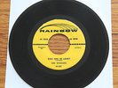 The WINNERS - Can This Be Love / Rockin & Rollin Doo Wop R&B RARE Rainbow # 331