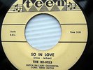 The RE-VELS So In Love / In Happened To Me  RARE DOO WOP 45 on Teen Label 122