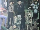 Bonzo Dog Doo-Dah Band - 