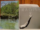 Pearl Jam 45 Vinyl Single Record Album 2014 7