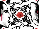 Red Hot Chili Peppers NEW SEALED VINYL LP Blood Sugar Sex Magik *FREE 1ST CLASS