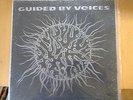 RARE GERMAN GUIDED BY VOICES PRESSING DEVIL BETWEEN MY TOES MINT ONLY 1000 MADE