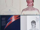 DAVID BOWIE ALADDIN SANE RCA VICTOR RS 1001 INNER SLEEVE FANCLUB MEMBERSHIP CARD