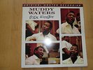 Muddy Waters Folk Singer MFSL