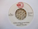 DWIGHT PULLEN: SUNGLASSES AFTER DARK/TEEN AGE BUG (RE-ISSUE RM)