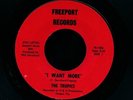 TROPICS - I Want More. 1966 garage 45. FREEPORT. LISTEN