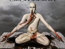 Meshuggah Obzen 2008 Back on Black Import Limited Edition Grey 2LP Vinyl