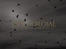 PRIMORDIAL - The Gathering Wilderness  DLP