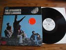 The Dynamics First Landing White Label Promo