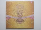 DEVENDRA BANHART What Will We Be Warner Bros Psych OOP 2XLP