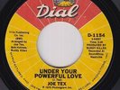 70s Soul 45 - Joe Tex - Under Your Powerful Love - Dial - mp3