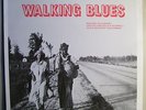 Walking Blues LP Son House Willie Brown Leroy Williams Joe Martin UK Flyright