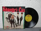 SHANGRI LAS  RED BIRD 101  LEADER OF THE PACK  G+/M-  $40.00