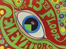 13th Floor Elevators, The - Psychedelic Sounds Of (180g 2LP gatefold) - New