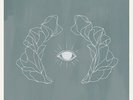 Jose Gonzalez Vestiges & Claws LP limited edition clear vinyl record indie