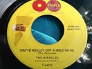 OG 1964 Motown 45 : The Miracles   You've Really Got A Hold On Me   Tamla 4507
