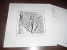 ALBERICH-Psychology of Love LP RARE 200 MADE Prurient Lussuria