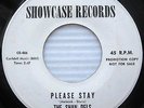 The SHAN DELS Please Stay LONG ISLAND Garage 45 Kinks Beau Brummels w260 HEAR