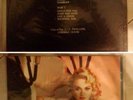 Madonna Surprise Lp Live Virgin Tour RARE COLLECTOR EDITION VINYL MDNA SEX BOOK