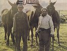 OZARK MOUNTAIN DAREDEVILS Men From Earth Vinyl 33LP Country Album EX Stereo 1976