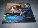 In Flames - A Sense of Purpose (Picture Disc) #0015