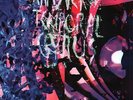 Animal Collective - Transverse Temporal Gyrus 12