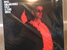 Noel Gallagher's Flying Birds The Dying of the Light (Demo) 10