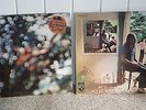 Pink Floyd Ummagumma + Obscured by Clouds