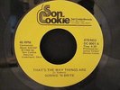 SONNIE 'N BRITE THAT'S THE WAY THINGS ARE 1982 45 rpm 7