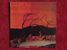 C.A. Quintet, Trip Thru Hell, rare vinyl LP, reissue, Psycho Rec.