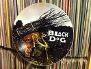 LED ZEPPELIN - BLACK DOG 12