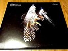 THE COURTEENERS FALCON 2010 RARE VERY LTD VINYL LP WITH INNER SLEEVE