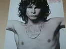 The best of The Doors Double LP vinyl album