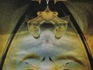 LP Lucifers Friend The Devils Touch HEAVY KRAUT PROG NEAR MINT Fontana