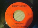 SUBSTANTIAL EVIDENCE GROOVY GRAPE 102 DEATH ANGEL HANG LOOSE PSYCH GARAGE