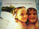 Smashing Pumpkins - siamese dream  Original 2- LP  TOP  Zustand RAR