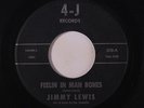 rare Soul 45 JIMMY LEWIS feelin in mah bones Listen