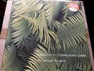 EDGAR FROESE EPSILON IN MALAYSIAN PALE 1975 VIRGIN V 2040 A-2U B-2U  EXCELLENT