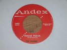 THE RAIDERS  HOCUS POCUS / YOO HOO Hard to find 45 on Andex 3-4015 play Ex