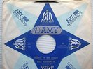 DEL SHANNON move it on over She still remembers Tony GARAGE ROCK PSYCH 45 w1148