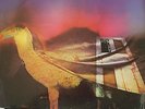 AMON DUUL II Carnival In Babylon Original 1972 England LP Kraut -  Prog Rock EX